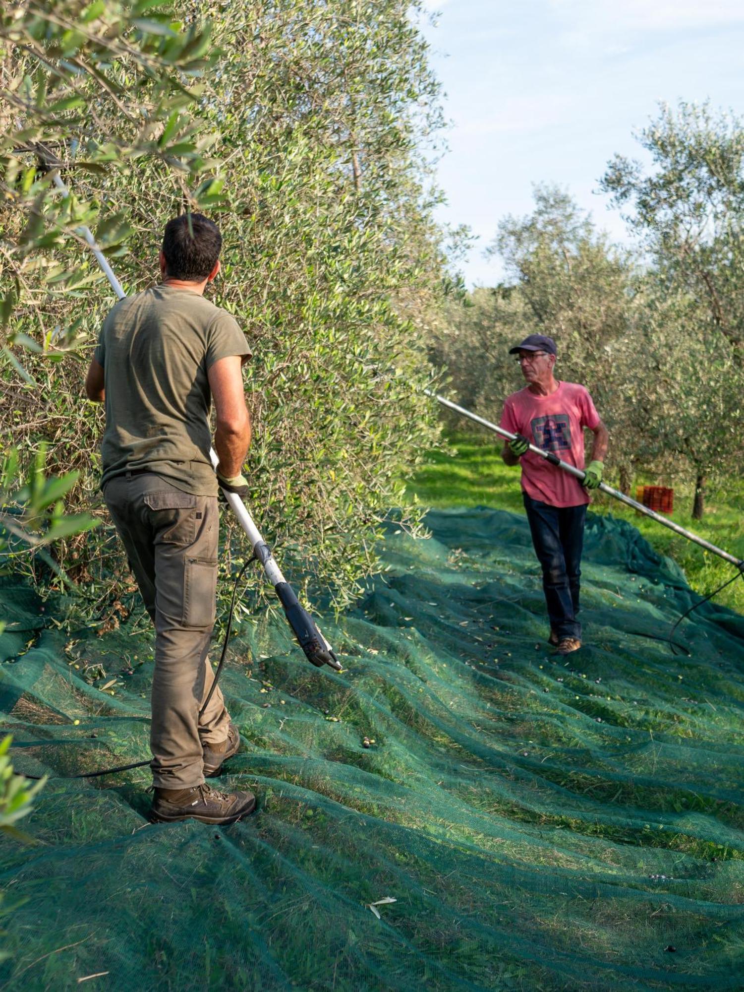 Podere Le Mezzelune Биббона Экстерьер фото